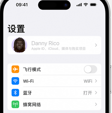 乌海appleID维修服务iPhone设置中Apple ID显示为灰色无法使用 