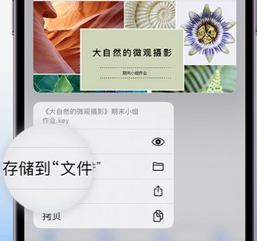 乌海apple维修中心分享iPhone文件应用中存储和找到下载文件