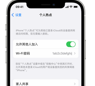 乌海apple服务站点分享iPhone上个人热点丢失了怎么办 