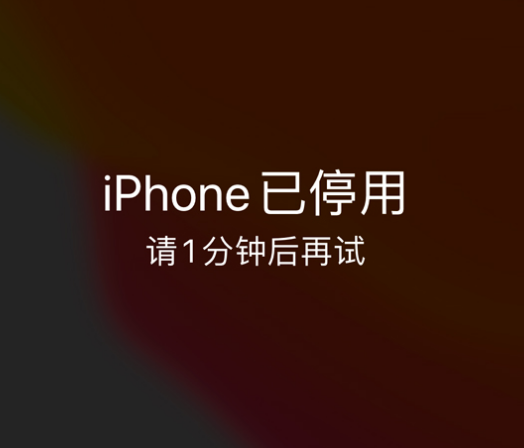 乌海苹果手机维修分享:iPhone 显示“不可用”或“已停用”怎么办？还能保留数据吗？ 