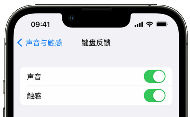 乌海苹果手机维修分享iPhone 14触感键盘使用方法 