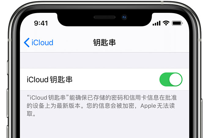 乌海苹果手机维修分享在 iPhone 上开启 iCloud 钥匙串之后会储存哪些信息 