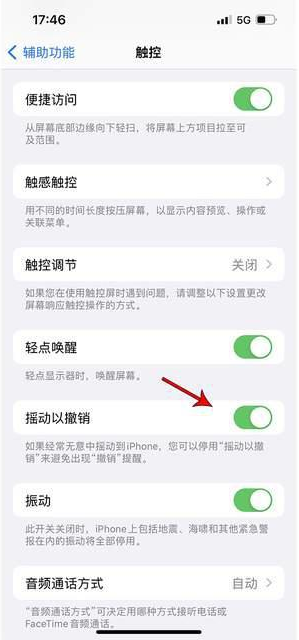 乌海苹果手机维修分享iPhone手机如何设置摇一摇删除文字 