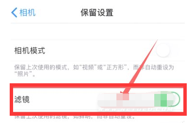 乌海苹果13维修分享iPhone13拍照有绿点是怎么回事 