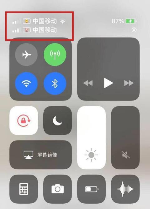 乌海苹果手机维修分享为 iPhone 12 双卡设置标签 